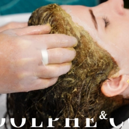 Plant-Based Hair Color in Salons: A Premium Service to Offer Your Clients